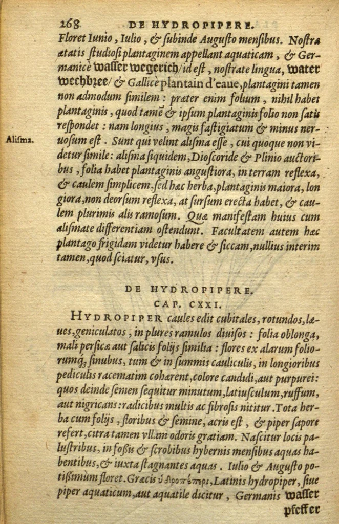 An illustration from Frumentorum, Leguminum, palustrium et aquatilium herbarum,ac eorum, quae eo? pertinent, historia? Remberto Dodonaeo Mechliniensi Medico auctore..., 1566, leaf 267