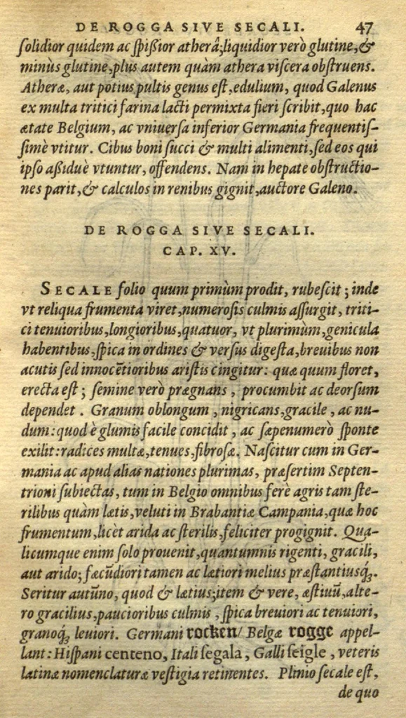 An illustration from Frumentorum, Leguminum, palustrium et aquatilium herbarum,ac eorum, quae eo? pertinent, historia? Remberto Dodonaeo Mechliniensi Medico auctore..., 1566, leaf 46