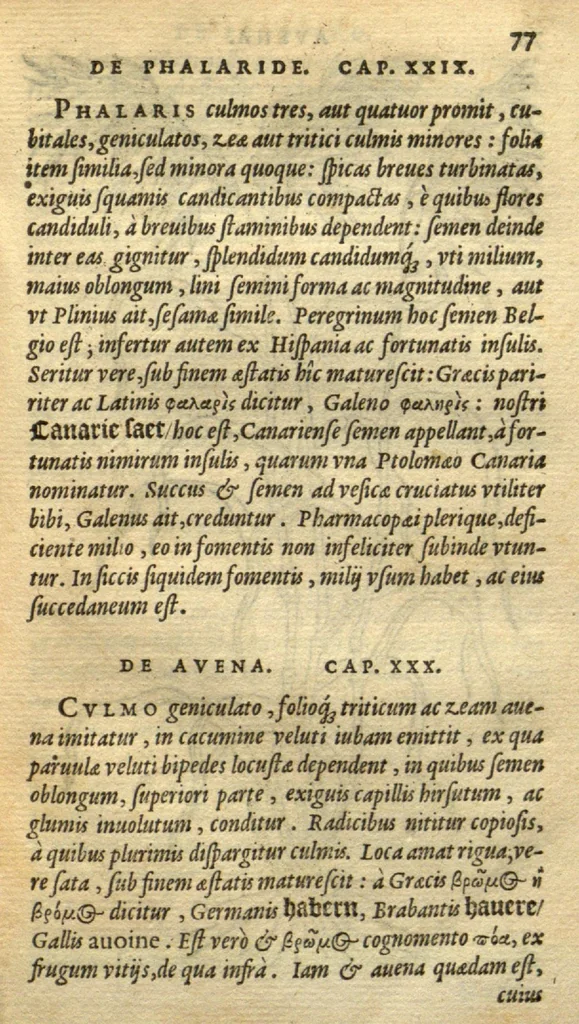 An illustration from Frumentorum, Leguminum, palustrium et aquatilium herbarum,ac eorum, quae eo? pertinent, historia? Remberto Dodonaeo Mechliniensi Medico auctore..., 1566, leaf 76
