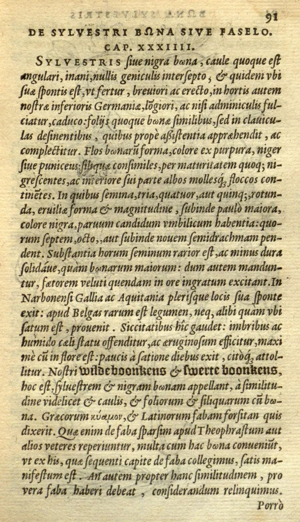 An illustration from Frumentorum, Leguminum, palustrium et aquatilium herbarum,ac eorum, quae eo? pertinent, historia? Remberto Dodonaeo Mechliniensi Medico auctore..., 1566, leaf 90