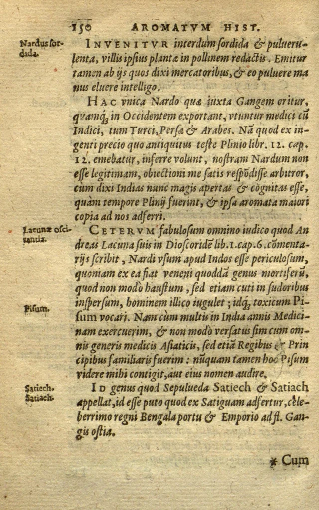 An illustration from Aromatum, et simplicium aliquot medicamentorum apud Indos nascentium historia ?ante biennium quidem Lusitanica linqua per dialogos conscripta /D. Garcia ab Horto, proregis Indie? medico, auctore ? nunc vero? primu?m Latina facta, & in epitomen contracta a? Carolo Clusio Atrebate., 1567, leaf 150