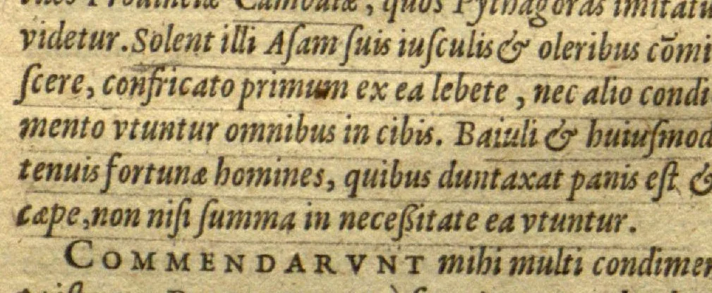 An illustration from Aromatum, et simplicium aliquot medicamentorum apud Indos nascentium historia ?ante biennium quidem Lusitanica linqua per dialogos conscripta /D. Garcia ab Horto, proregis Indie? medico, auctore ? nunc vero? primu?m Latina facta, & in epitomen contracta a? Carolo Clusio Atrebate., 1567, leaf 24