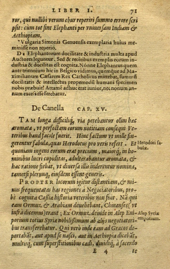 An illustration from Aromatum, et simplicium aliquot medicamentorum apud Indos nascentium historia ?ante biennium quidem Lusitanica linqua per dialogos conscripta /D. Garcia ab Horto, proregis Indie? medico, auctore ? nunc vero? primu?m Latina facta, & in epitomen contracta a? Carolo Clusio Atrebate., 1567, leaf 71