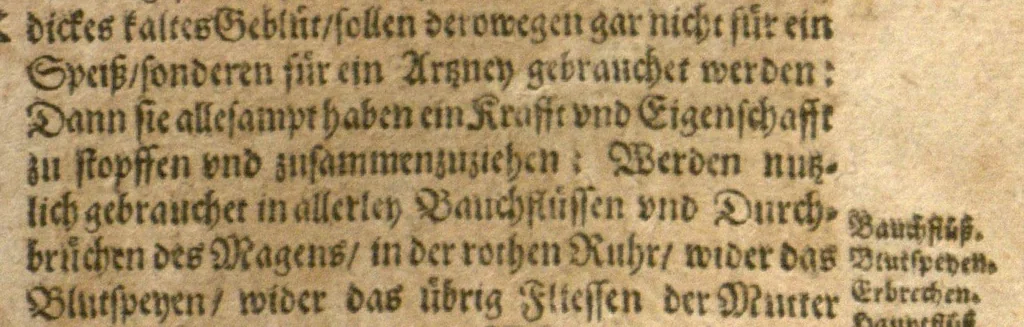 An illustration from New vollkommenlich Kräuter-Buch : mit schönen und künstlichen Figuren aller Gewächs der Baümen, Stauden und Kräutern...:das erste [-das ander und dritte] Theil darinn viel und mancherley heilsamer Artzeney vor allerley innerlichen und eusserlichen Kranckheiten, beyde der Menschen und des Viehes sampt ihrem nützlichen Gebrauch beschrieben werden.../ durch Iacobum Theodorum Tabernaemontanum... ; das ander und dritte Theil...verbessert durch Hieronymum Bauhinum... ; mit sehr nutzlichen Marginalien, Synonimis, newen Registern und anderm vermehret durch Hieronymum Bauhinum..., 1664, leaf 113