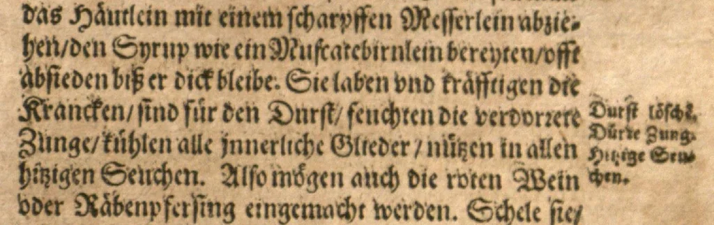 An illustration from New vollkommenlich Kräuter-Buch : mit schönen und künstlichen Figuren aller Gewächs der Baümen, Stauden und Kräutern...:das erste [-das ander und dritte] Theil darinn viel und mancherley heilsamer Artzeney vor allerley innerlichen und eusserlichen Kranckheiten, beyde der Menschen und des Viehes sampt ihrem nützlichen Gebrauch beschrieben werden.../ durch Iacobum Theodorum Tabernaemontanum... ; das ander und dritte Theil...verbessert durch Hieronymum Bauhinum... ; mit sehr nutzlichen Marginalien, Synonimis, newen Registern und anderm vermehret durch Hieronymum Bauhinum..., 1664, leaf 95