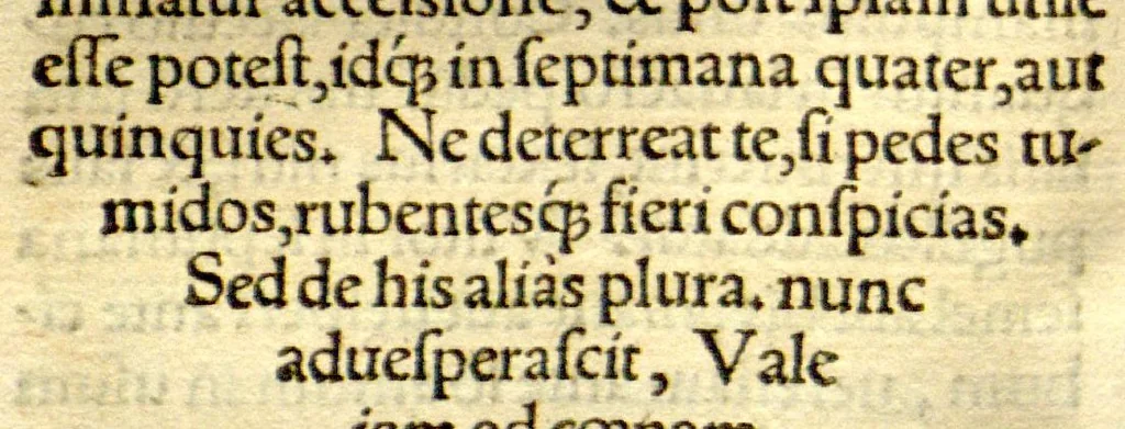 An illustration from Ioannis Guintherii Andernaci medici Commentarius de balneis, & aquis medicatis in tres dialogos distinctus., 1565, leaf 181