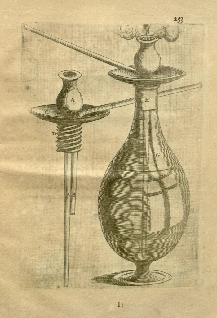 An illustration from Tabacologia ?hoc est Tabaci, seu nicotianae descriptio medico?cheirurgico?pharmaceutica, vel, ejus praeparatio et usus in omnibus ferme? corporis humani inco?modis /per Johannem Neandrum ..., 1626, leaf 288