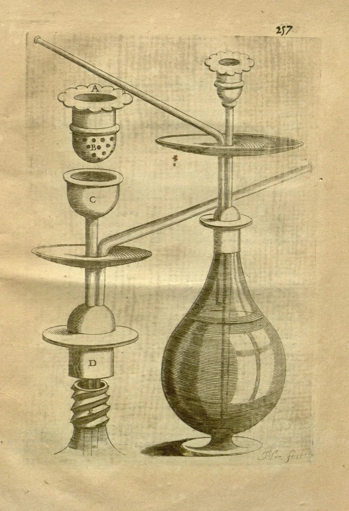 An illustration from Tabacologia ?hoc est Tabaci, seu nicotianae descriptio medico?cheirurgico?pharmaceutica, vel, ejus praeparatio et usus in omnibus ferme? corporis humani inco?modis /per Johannem Neandrum ..., 1626, leaf 292
