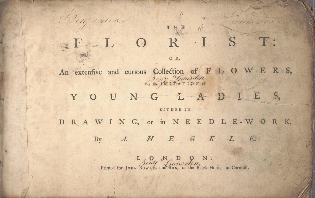 An illustration from The florist, or, An extensive and curious collection of flowers, for the imitation of young ladies, either in drawing or in needle?workby A. Heckle., 1757, leaf 1