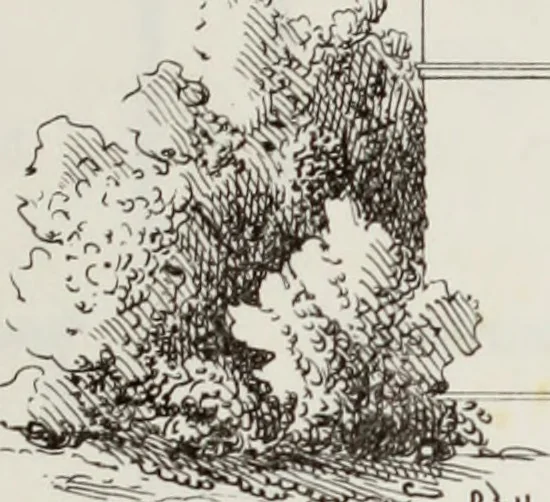 An illustration from The model architect : a series of original designs for cottages, villas, suburban residences, etc., accompanied by explanations, specifications, estimates, and elaborate details : prepared expressly for the use of projectors and artisans throughout the United States, 1852, leaf 186