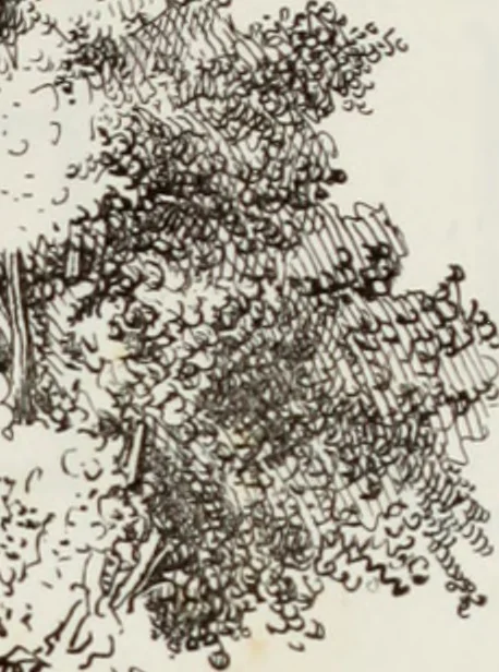 An illustration from The model architect : a series of original designs for cottages, villas, suburban residences, etc., accompanied by explanations, specifications, estimates, and elaborate details : prepared expressly for the use of projectors and artisans throughout the United States, 1852, leaf 186