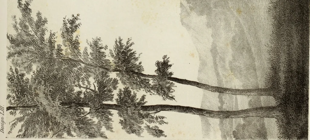 An illustration from The model architect : a series of original designs for cottages, villas, suburban residences, etc., accompanied by explanations, specifications, estimates, and elaborate details : prepared expressly for the use of projectors and artisans throughout the United States, 1852, leaf 230