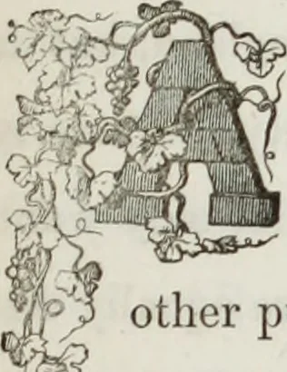An illustration from The model architect : a series of original designs for cottages, villas, suburban residences, etc., accompanied by explanations, specifications, estimates, and elaborate details : prepared expressly for the use of projectors and artisans throughout the United States, 1852, leaf 240
