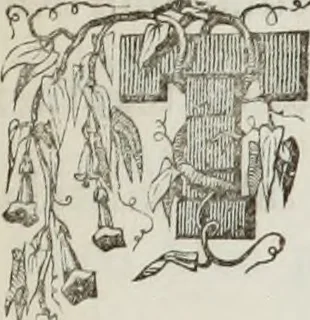 An illustration from The model architect : a series of original designs for cottages, villas, suburban residences, etc., accompanied by explanations, specifications, estimates, and elaborate details : prepared expressly for the use of projectors and artisans throughout the United States, 1852, leaf 32