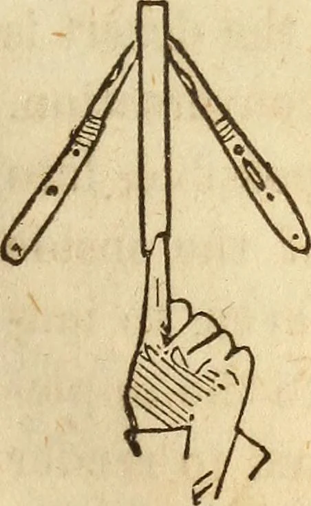 An illustration from The model book of dreams, fortune teller, and epitome of parlor entertainments, 1864, leaf 240