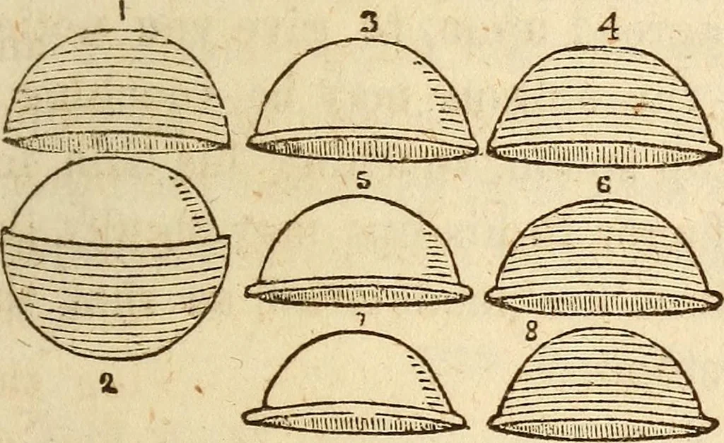 An illustration from The model book of dreams, fortune teller, and epitome of parlor entertainments, 1864, leaf 248