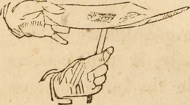 An illustration from The model book of dreams, fortune teller, and epitome of parlor entertainments, 1864, leaf 321
