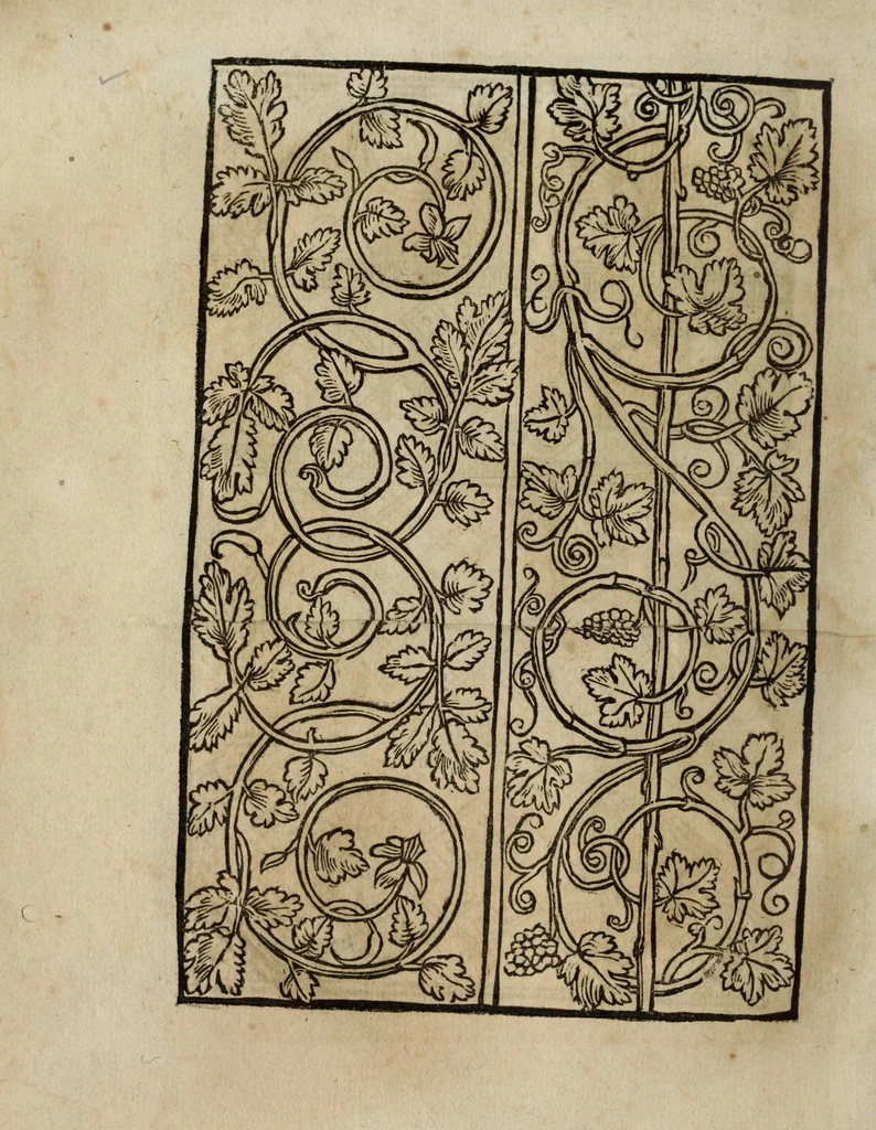An illustration from Modelbüch neuw aller art Nehens uñ Stickens : jetzund wider mit vil Mödlen vnd Stahlen : allen Steinmetzen, Seidenstickern, vnnd Neterin sehr nützlich vnnd lustig zügericht, 1562, leaf 14