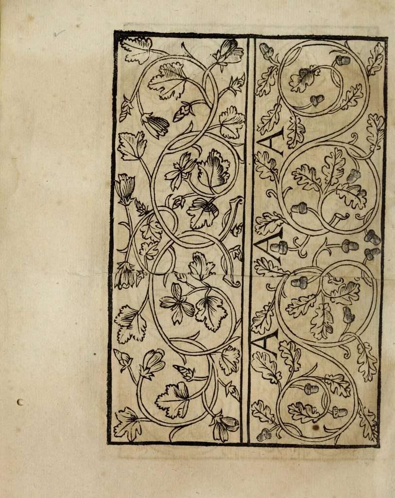 An illustration from Modelbüch neuw aller art Nehens uñ Stickens : jetzund wider mit vil Mödlen vnd Stahlen : allen Steinmetzen, Seidenstickern, vnnd Neterin sehr nützlich vnnd lustig zügericht, 1562, leaf 16