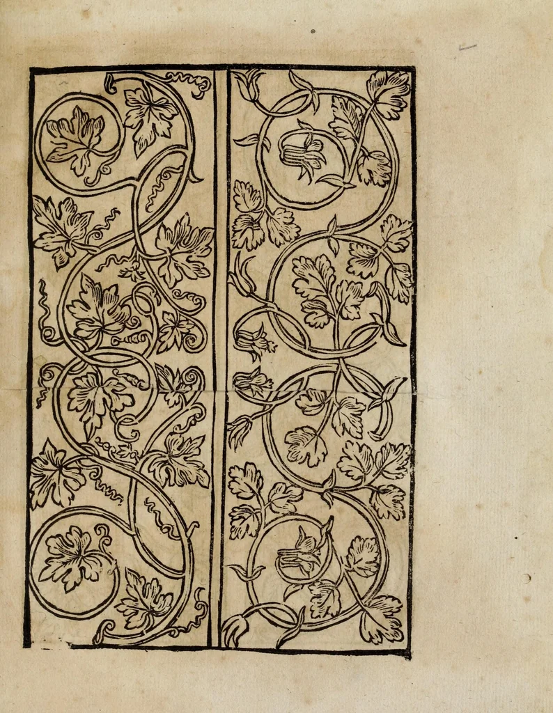 An illustration from Modelbüch neuw aller art Nehens uñ Stickens : jetzund wider mit vil Mödlen vnd Stahlen : allen Steinmetzen, Seidenstickern, vnnd Neterin sehr nützlich vnnd lustig zügericht, 1562, leaf 17