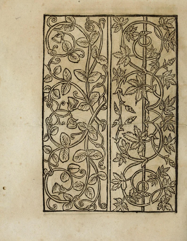 An illustration from Modelbüch neuw aller art Nehens uñ Stickens : jetzund wider mit vil Mödlen vnd Stahlen : allen Steinmetzen, Seidenstickern, vnnd Neterin sehr nützlich vnnd lustig zügericht, 1562, leaf 18