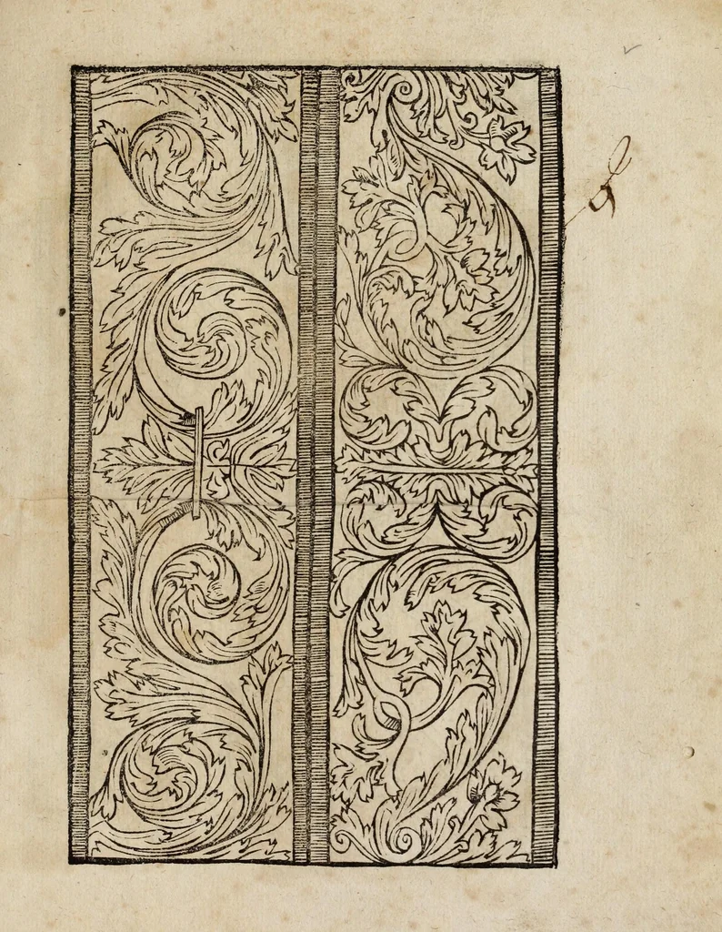An illustration from Modelbüch neuw aller art Nehens uñ Stickens : jetzund wider mit vil Mödlen vnd Stahlen : allen Steinmetzen, Seidenstickern, vnnd Neterin sehr nützlich vnnd lustig zügericht, 1562, leaf 21