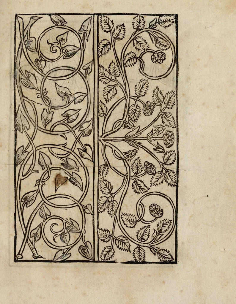 An illustration from Modelbüch neuw aller art Nehens uñ Stickens : jetzund wider mit vil Mödlen vnd Stahlen : allen Steinmetzen, Seidenstickern, vnnd Neterin sehr nützlich vnnd lustig zügericht, 1562, leaf 25