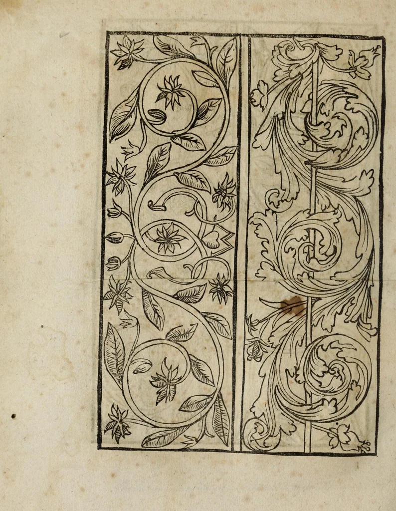 An illustration from Modelbüch neuw aller art Nehens uñ Stickens : jetzund wider mit vil Mödlen vnd Stahlen : allen Steinmetzen, Seidenstickern, vnnd Neterin sehr nützlich vnnd lustig zügericht, 1562, leaf 26