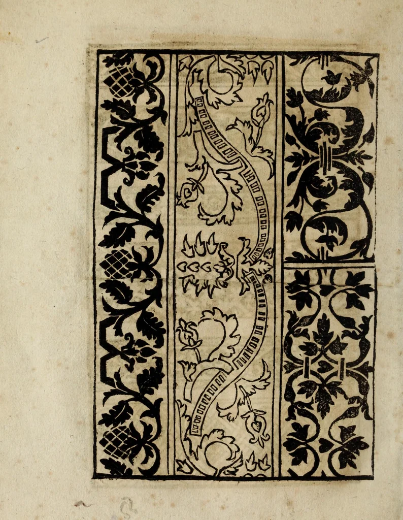 An illustration from Modelbüch neuw aller art Nehens uñ Stickens : jetzund wider mit vil Mödlen vnd Stahlen : allen Steinmetzen, Seidenstickern, vnnd Neterin sehr nützlich vnnd lustig zügericht, 1562, leaf 60
