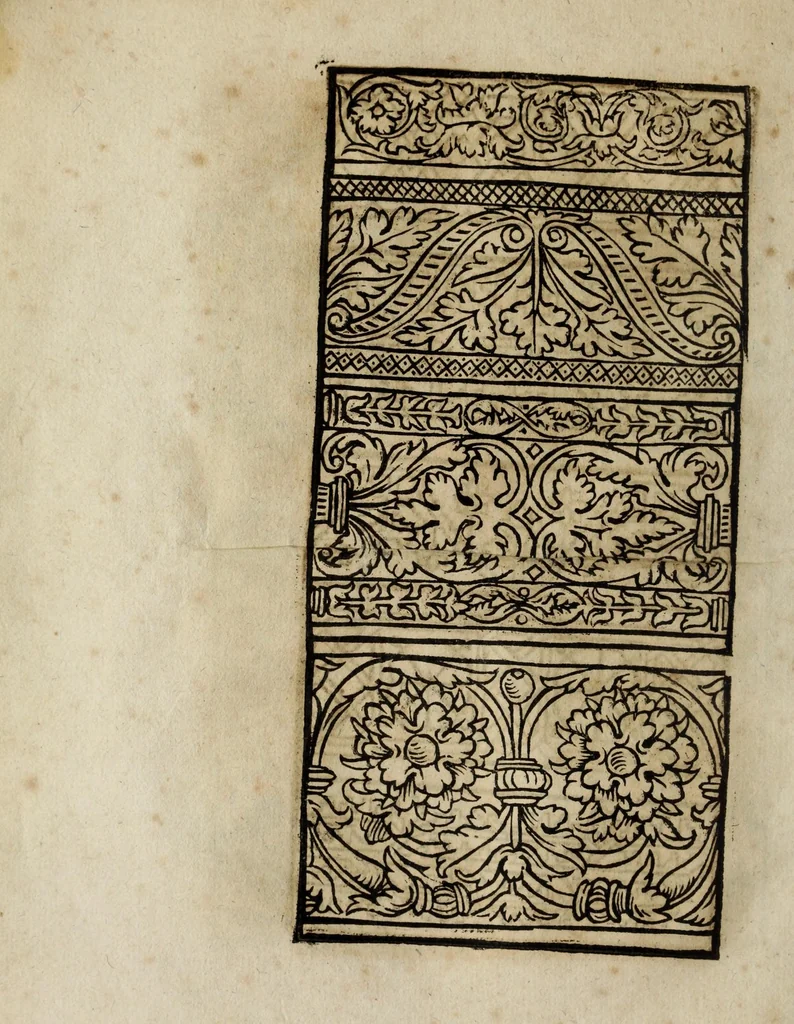 An illustration from Modelbüch neuw aller art Nehens uñ Stickens : jetzund wider mit vil Mödlen vnd Stahlen : allen Steinmetzen, Seidenstickern, vnnd Neterin sehr nützlich vnnd lustig zügericht, 1562, leaf 62