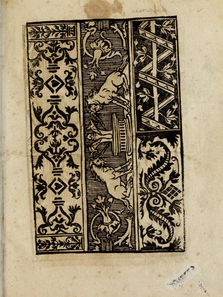 An illustration from Modelbüch neuw aller art Nehens uñ Stickens : jetzund wider mit vil Mödlen vnd Stahlen : allen Steinmetzen, Seidenstickern, vnnd Neterin sehr nützlich vnnd lustig zügericht, 1562, leaf 65