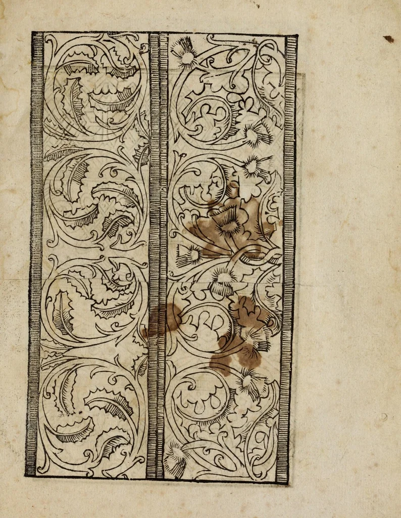 An illustration from Modelbüch neuw aller art Nehens uñ Stickens : jetzund wider mit vil Mödlen vnd Stahlen : allen Steinmetzen, Seidenstickern, vnnd Neterin sehr nützlich vnnd lustig zügericht, 1562, leaf 7
