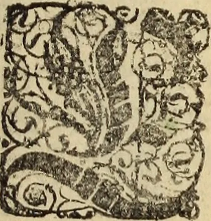An illustration from [Model Buch : T.1-4, 1666, leaf 110