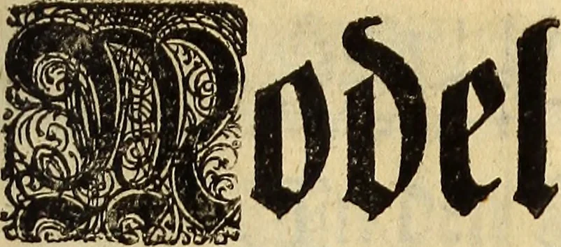An illustration from [Model Buch : T.1-4, 1666, leaf 216
