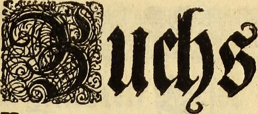 An illustration from [Model Buch : T.1-4, 1666, leaf 216