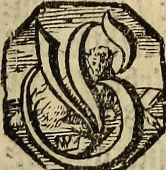 An illustration from [Model Buch : T.1-4, 1666, leaf 218