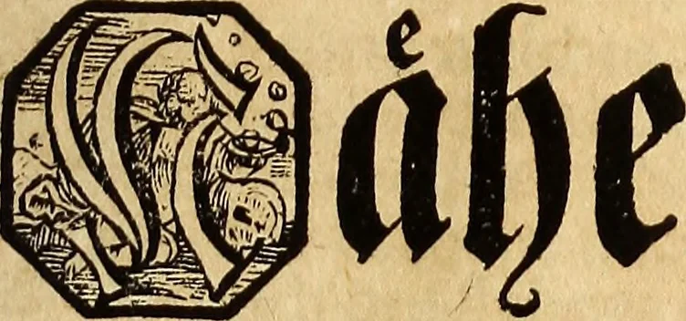 An illustration from [Model Buch : T.1-4, 1666, leaf 308