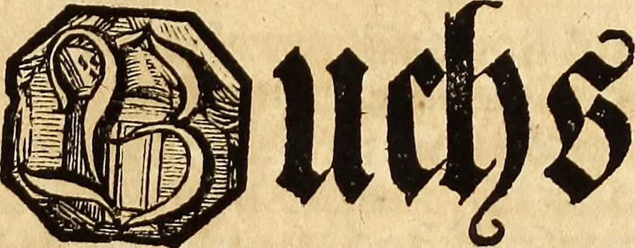 An illustration from [Model Buch : T.1-4, 1666, leaf 308
