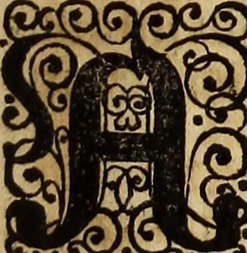 An illustration from [Model Buch : T.1-4, 1666, leaf 314