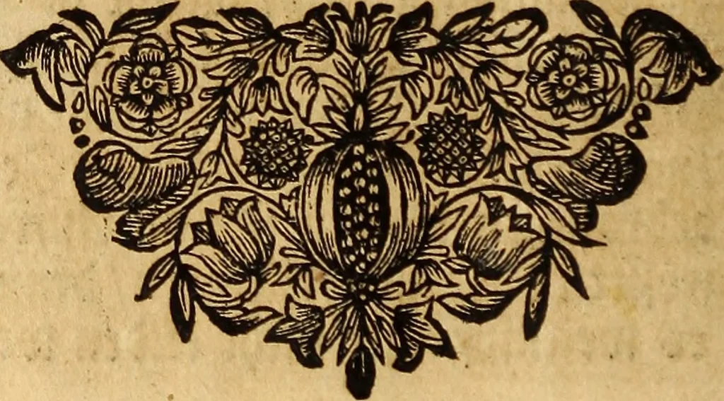 An illustration from [Model Buch : T.1-4, 1666, leaf 327