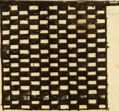 An illustration from [Model Buch : T.1-4, 1666, leaf 332