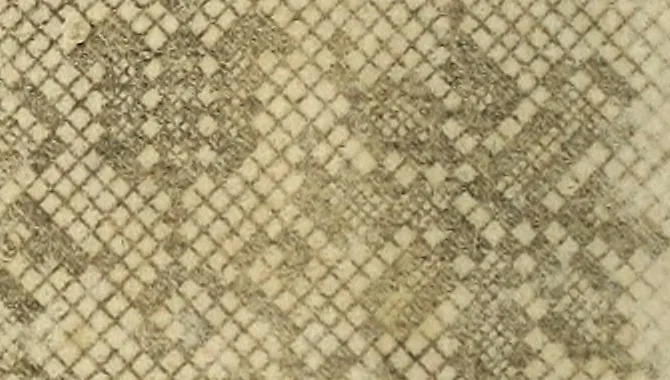 An illustration from [Model Buch : T.1-4, 1666, leaf 63