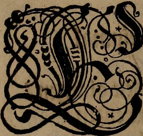 An illustration from [Model Buch : Teil 1.-2, 1660, leaf 12
