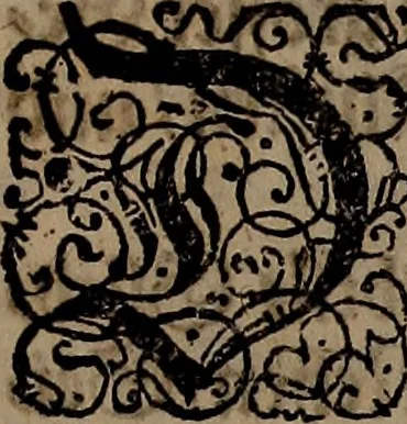 An illustration from [Model Buch : Teil 1.-2, 1660, leaf 8