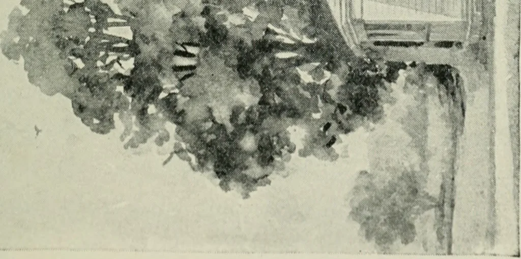 An illustration from Model houses for little money, 1904, leaf 122