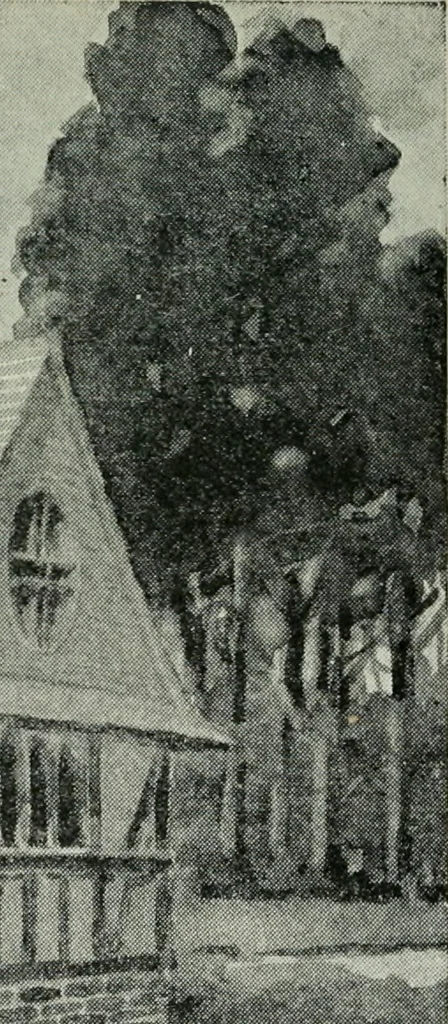 An illustration from Model houses for little money, 1904, leaf 128