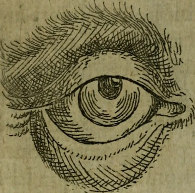 An illustration from Modelles, artifices de fev, et divers instrvmes de gverre : avec les moyes de s'en prevaloir : pour assieger, battre, surprendre, et deffendre toutes places : vtiles et necessaires a touvs cevx qvi fond profession des armes, 1598, leaf 16