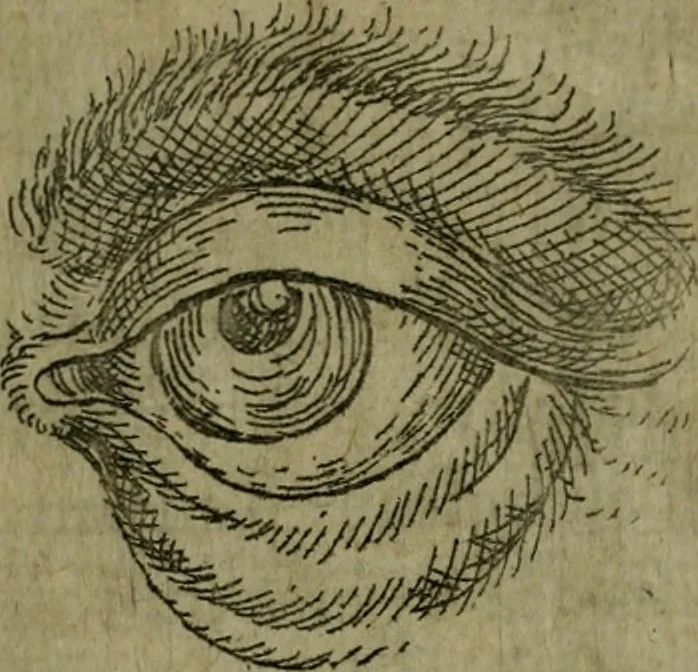 An illustration from Modelles, artifices de fev, et divers instrvmes de gverre : avec les moyes de s'en prevaloir : pour assieger, battre, surprendre, et deffendre toutes places : vtiles et necessaires a touvs cevx qvi fond profession des armes, 1598, leaf 16