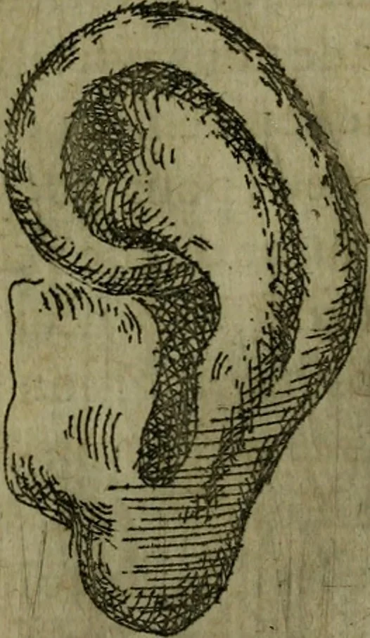 An illustration from Modelles, artifices de fev, et divers instrvmes de gverre : avec les moyes de s'en prevaloir : pour assieger, battre, surprendre, et deffendre toutes places : vtiles et necessaires a touvs cevx qvi fond profession des armes, 1598, leaf 16