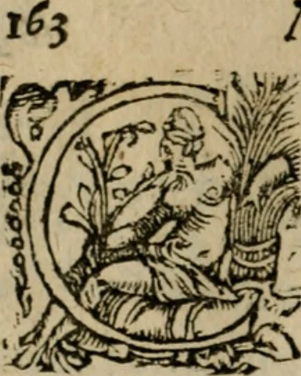 An illustration from Modelles, artifices de fev, et divers instrvmes de gverre : avec les moyes de s'en prevaloir : pour assieger, battre, surprendre, et deffendre toutes places : vtiles et necessaires a touvs cevx qvi fond profession des armes, 1598, leaf 177